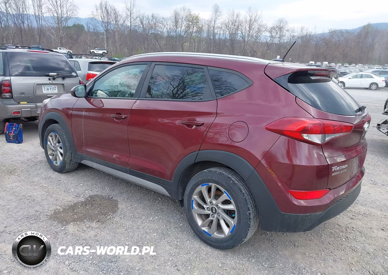 2017 Hyundai Tucson Se VIN:KM8J3CA48HU258538 - 3