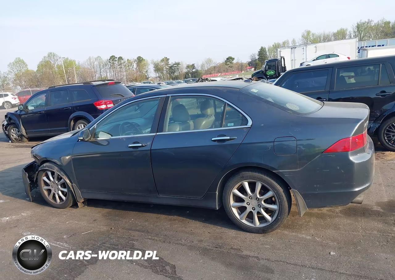 2006 Acura Tsx VIN:JH4CL96806C006084 - 13