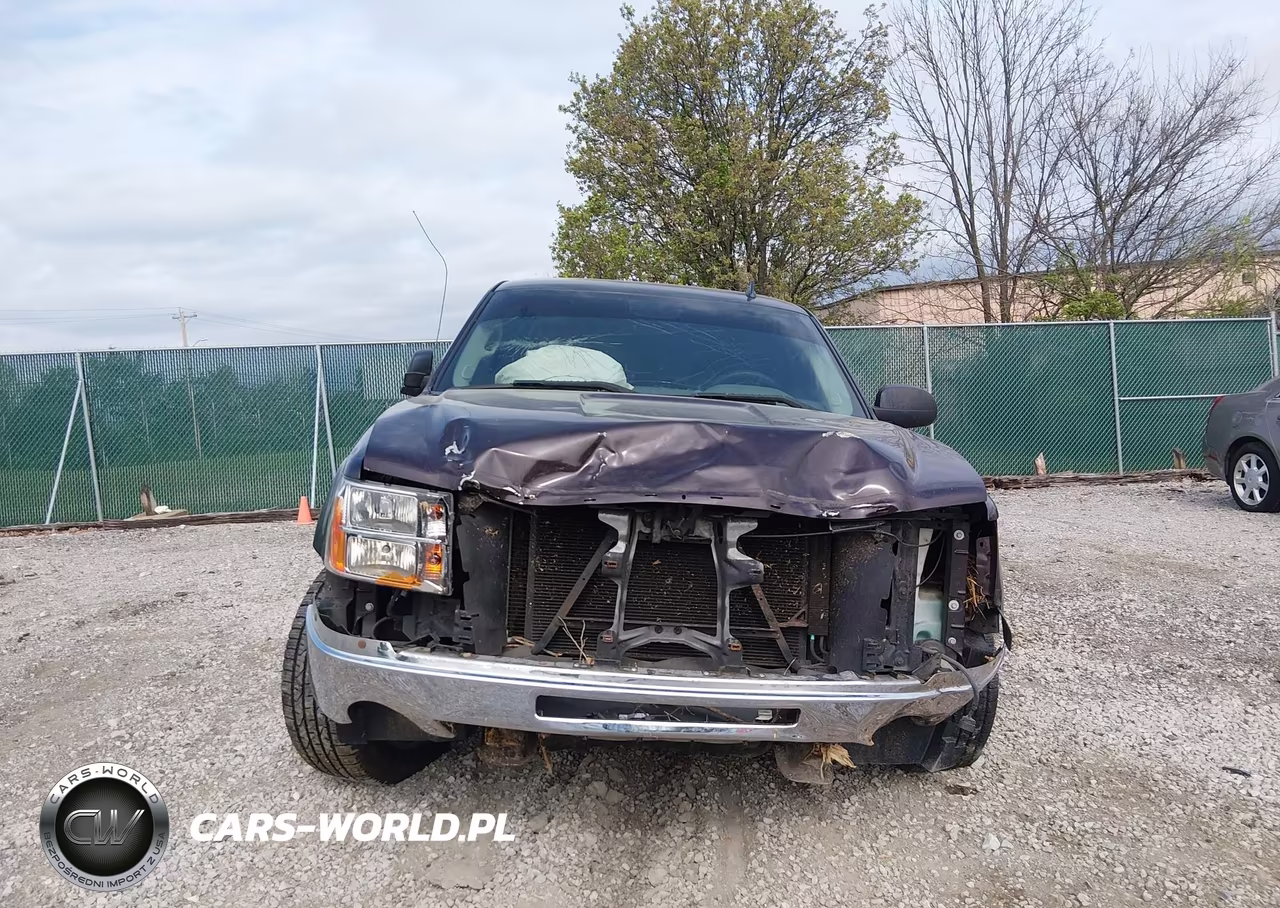 2009 GMC Sierra 1500 Work Truck VIN:1GTEC19X99Z119919 - 12