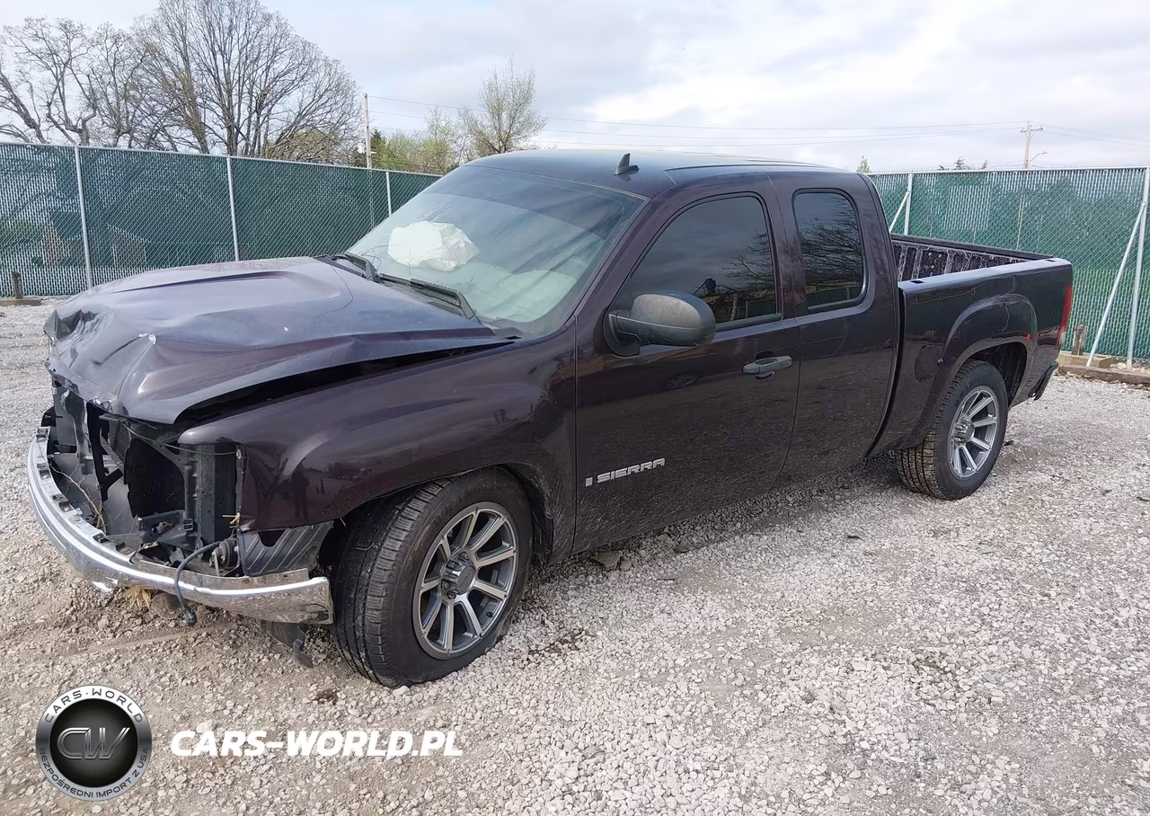 2009 GMC Sierra 1500 Work Truck VIN:1GTEC19X99Z119919 - 2