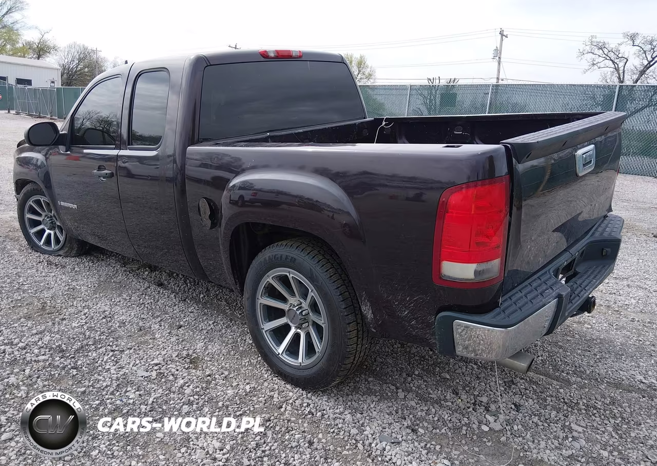2009 GMC Sierra 1500 Work Truck VIN:1GTEC19X99Z119919 - 3