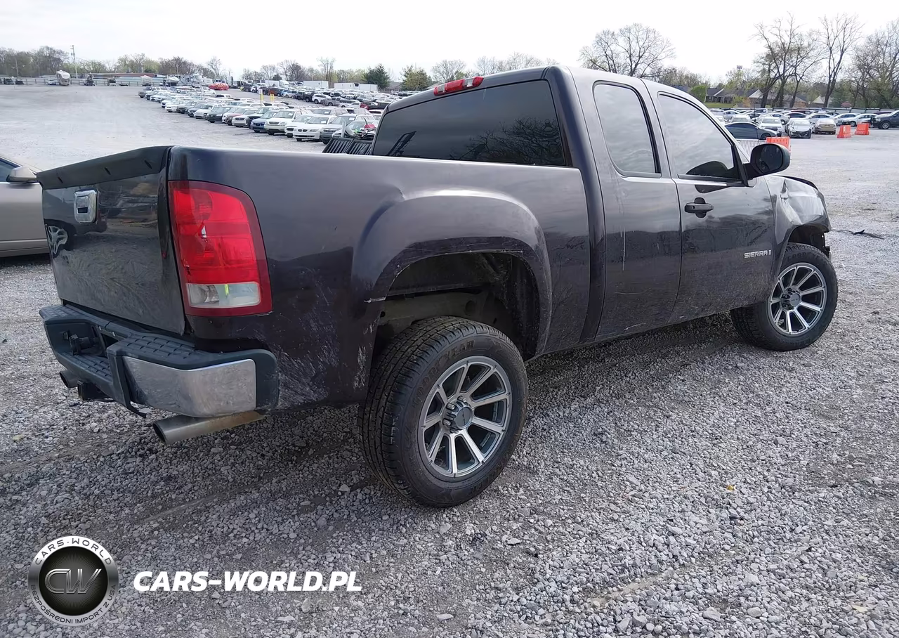 2009 GMC Sierra 1500 Work Truck VIN:1GTEC19X99Z119919 - 4