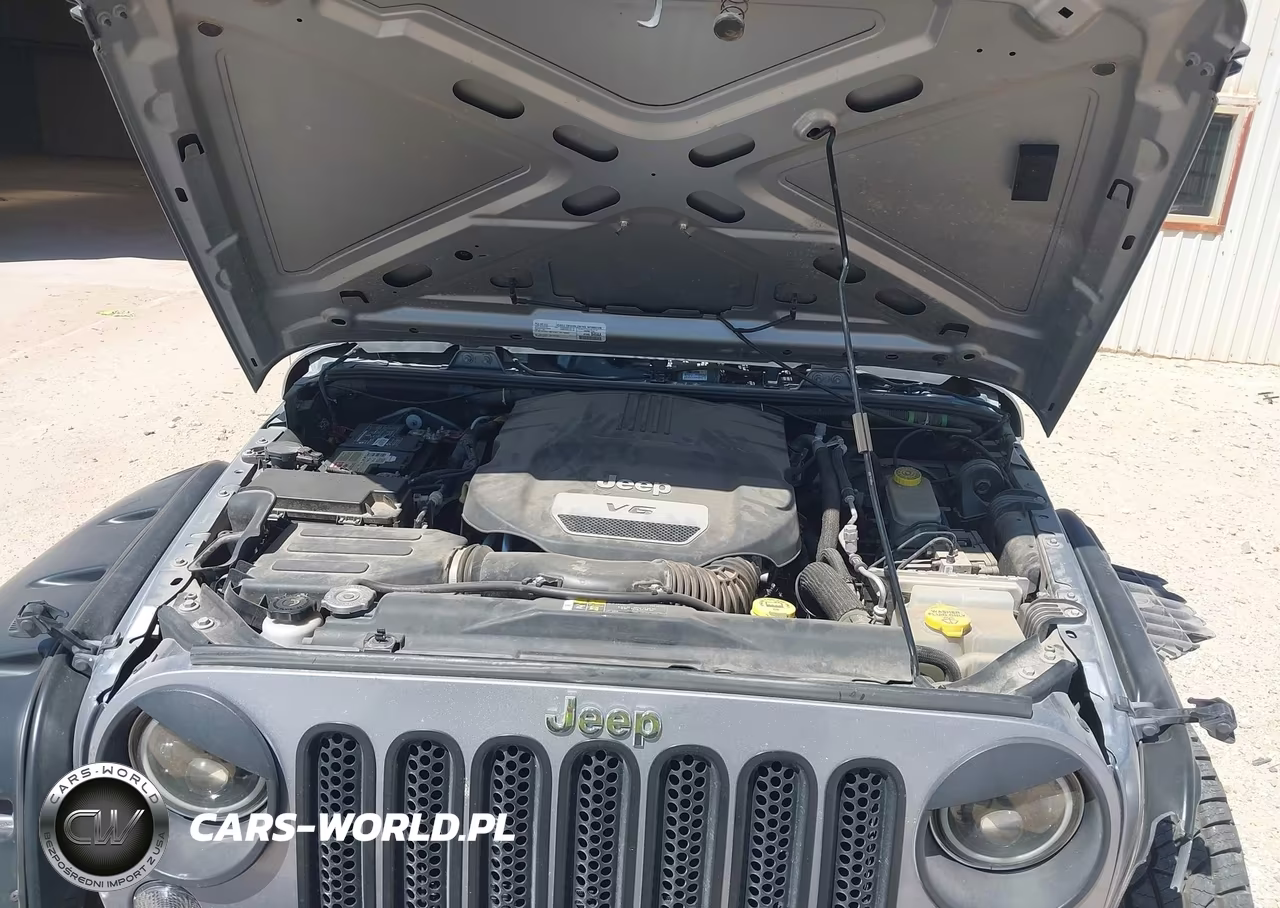 2017 Jeep Wrangler Unlimited Sport 4X4 VIN:1C4BJWDGXHL561087 - 10