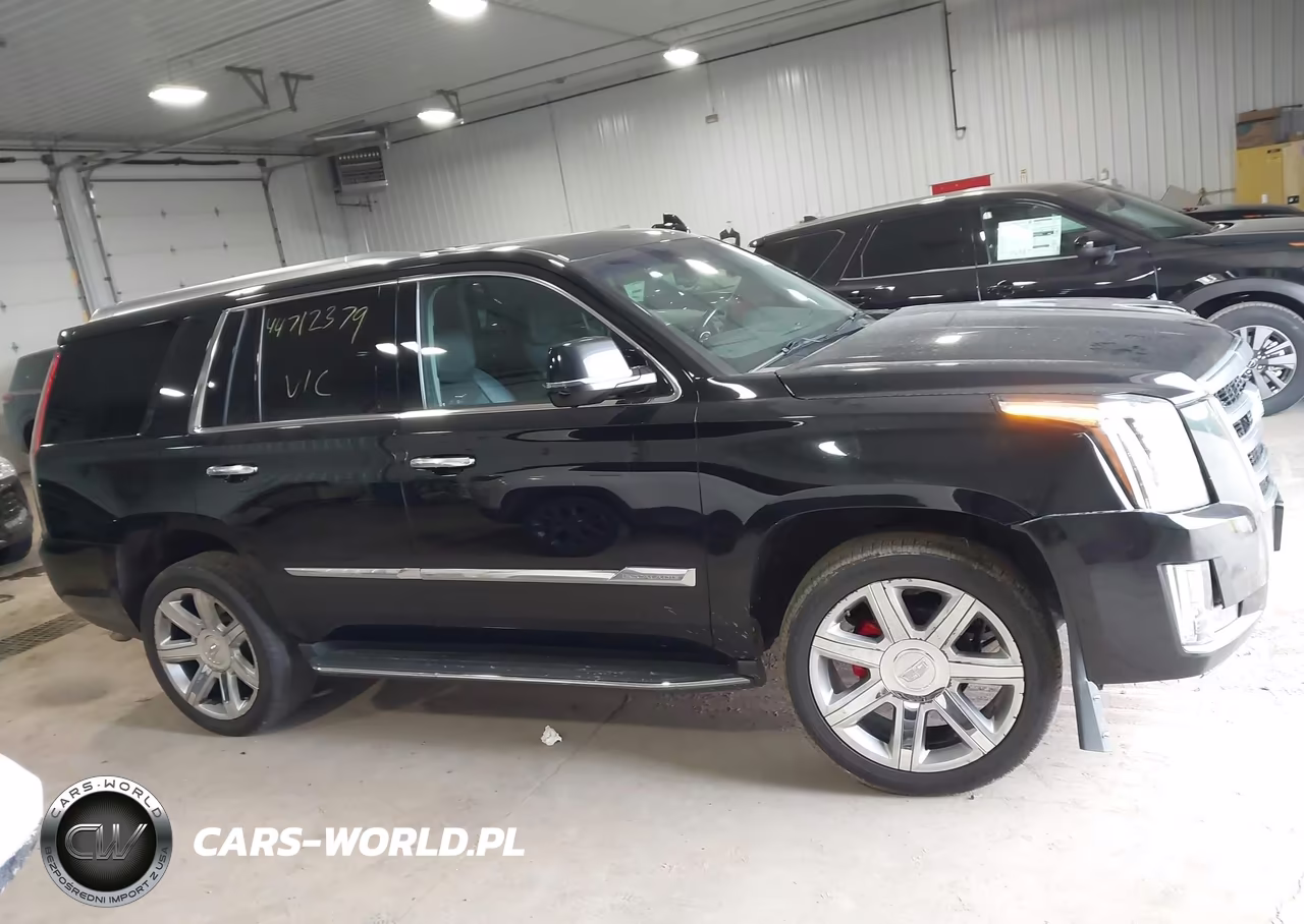 2016 Cadillac Escalade Luxury Collection VIN:1GYS4BKJ6GR208429 - 14