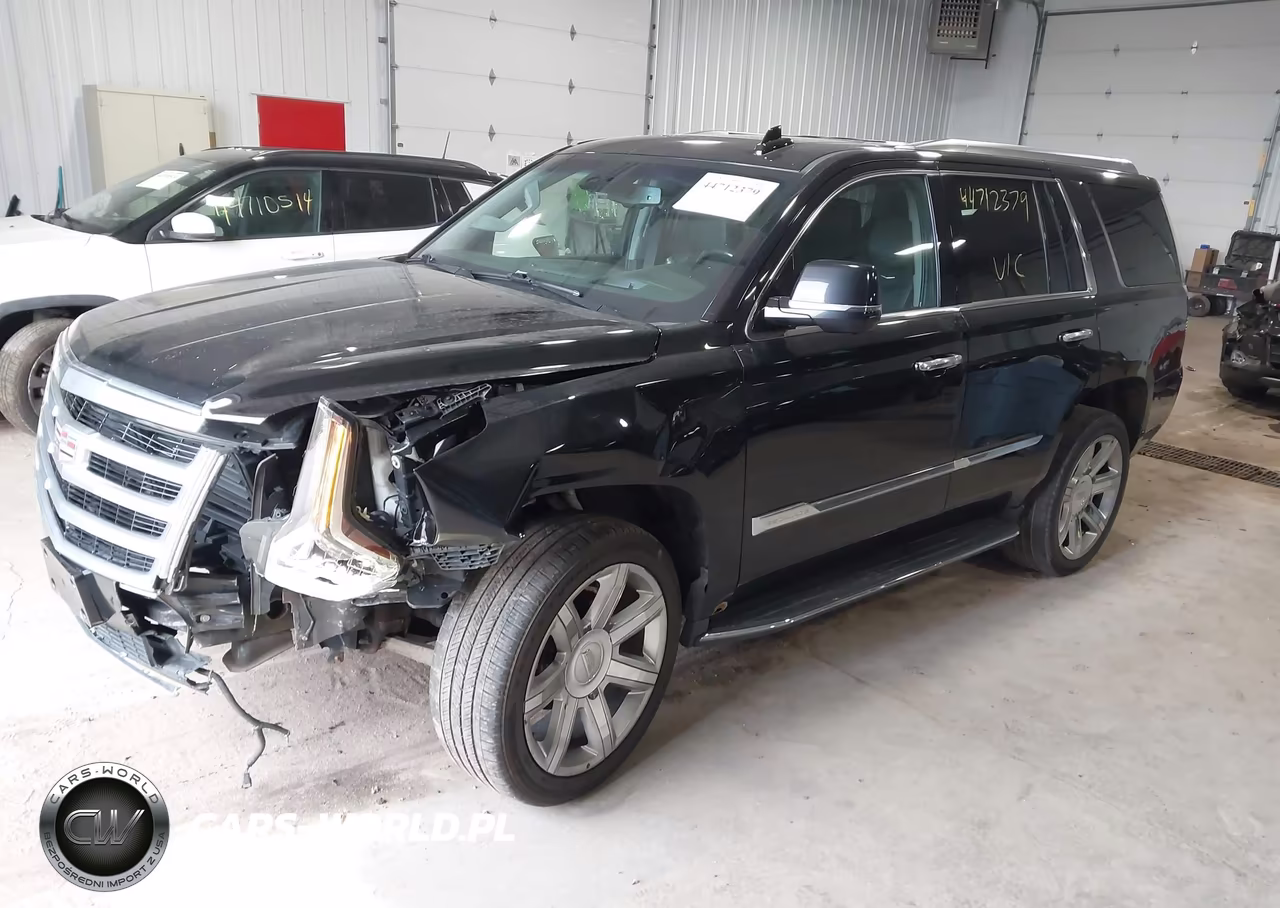 2016 Cadillac Escalade Luxury Collection VIN:1GYS4BKJ6GR208429 - 2