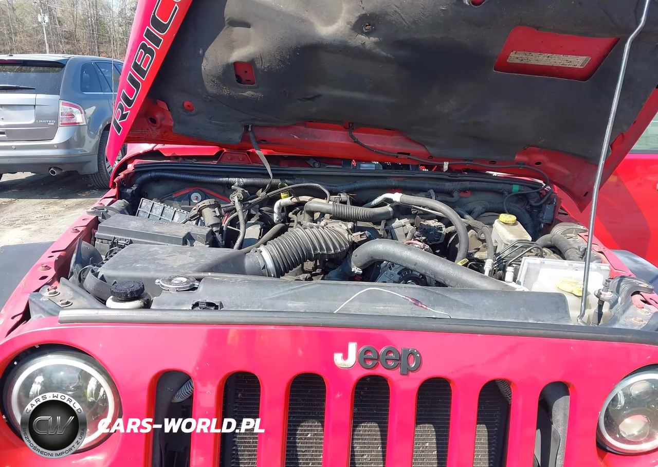 2010 Jeep Wrangler Unlimited Rubicon VIN:1J4BA6H11AL176989 - 10