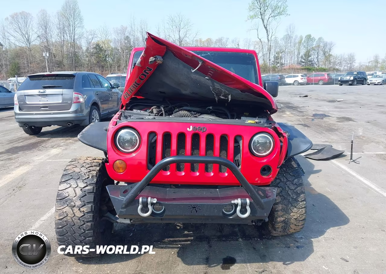 2010 Jeep Wrangler Unlimited Rubicon VIN:1J4BA6H11AL176989 - 12
