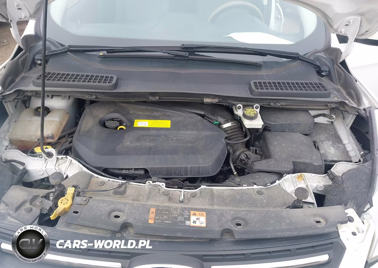 2016 Ford Escape Se VIN:1FMCU0GX0GUA44180 - 10