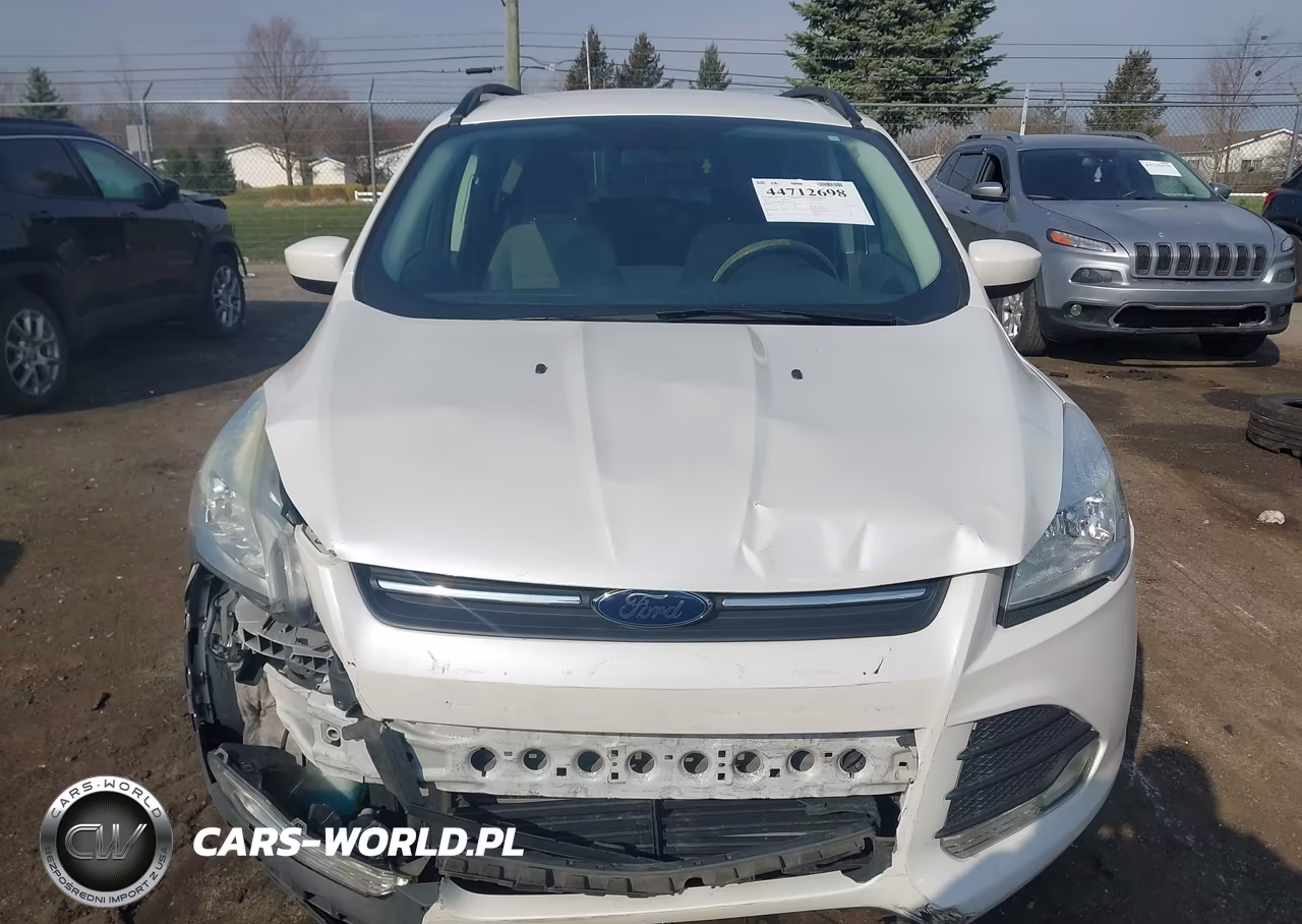 2016 Ford Escape Se VIN:1FMCU0GX0GUA44180 - 12