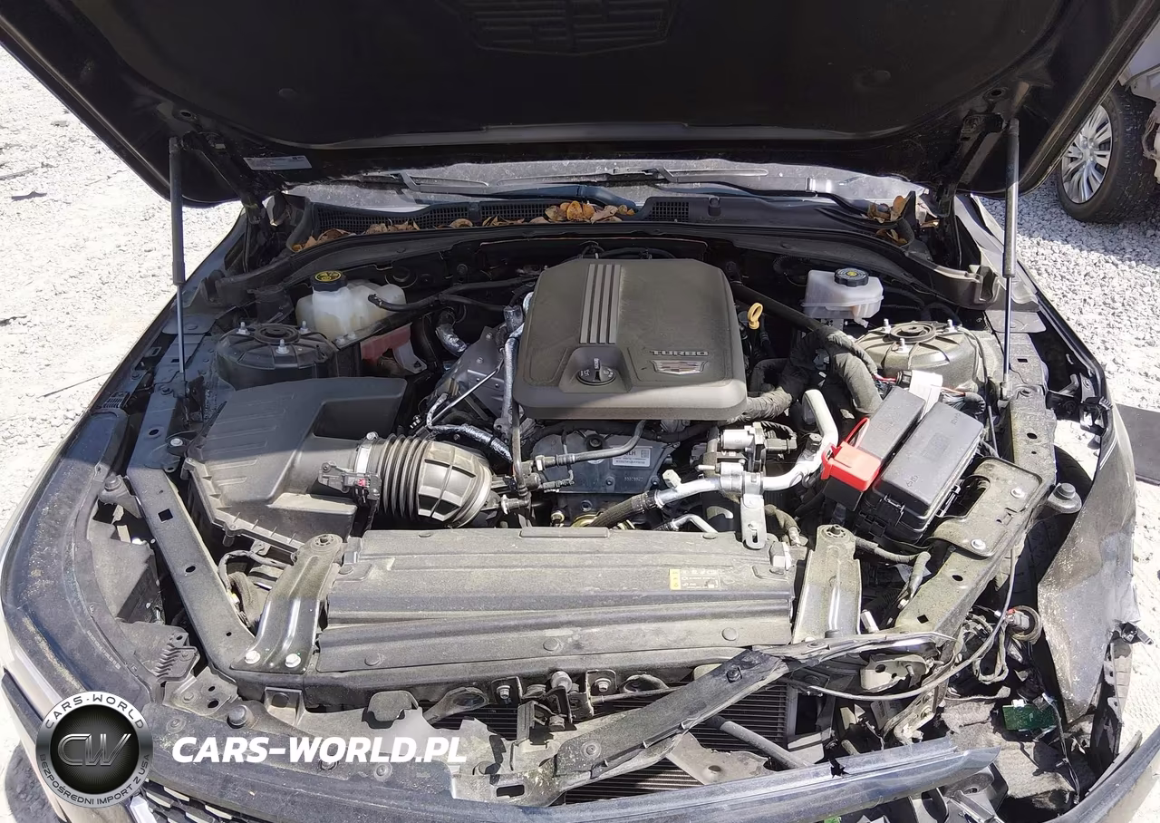 2021 Cadillac Ct4 Luxury VIN:1G6DJ5RK4M0107187 - 10