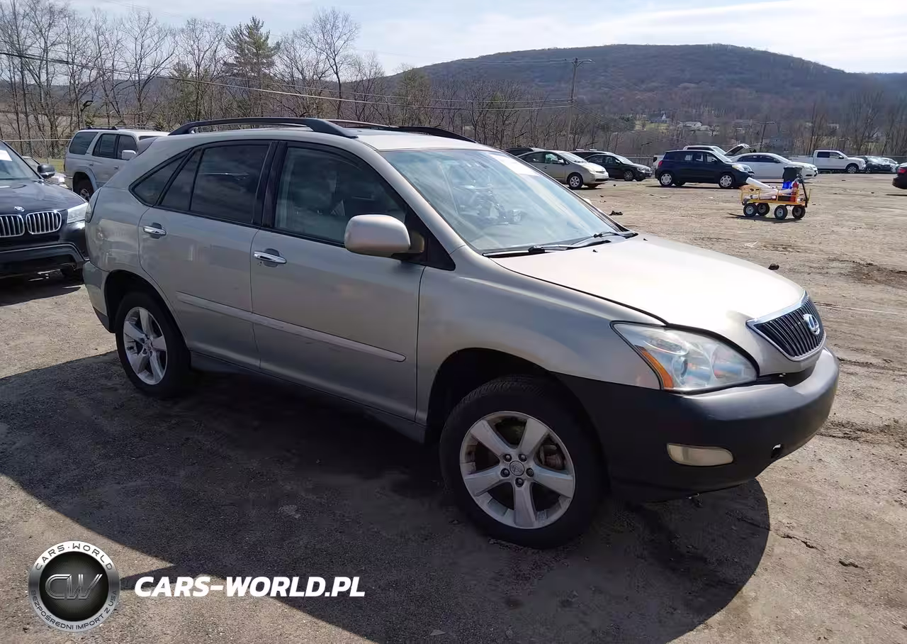 2004 Lexus Rx 330