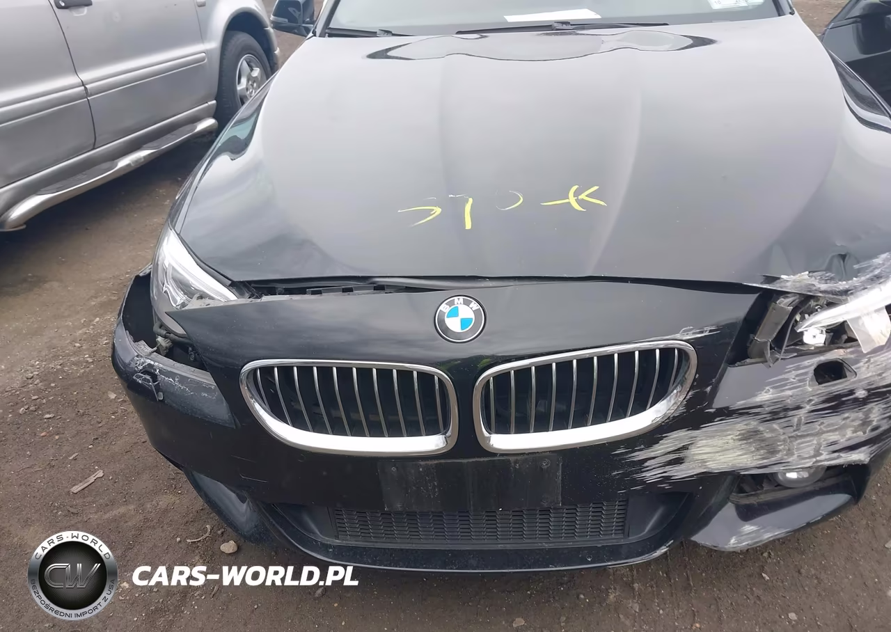 2016 BMW 528I xDrive VIN:WBA5A7C57GG148096 - 10