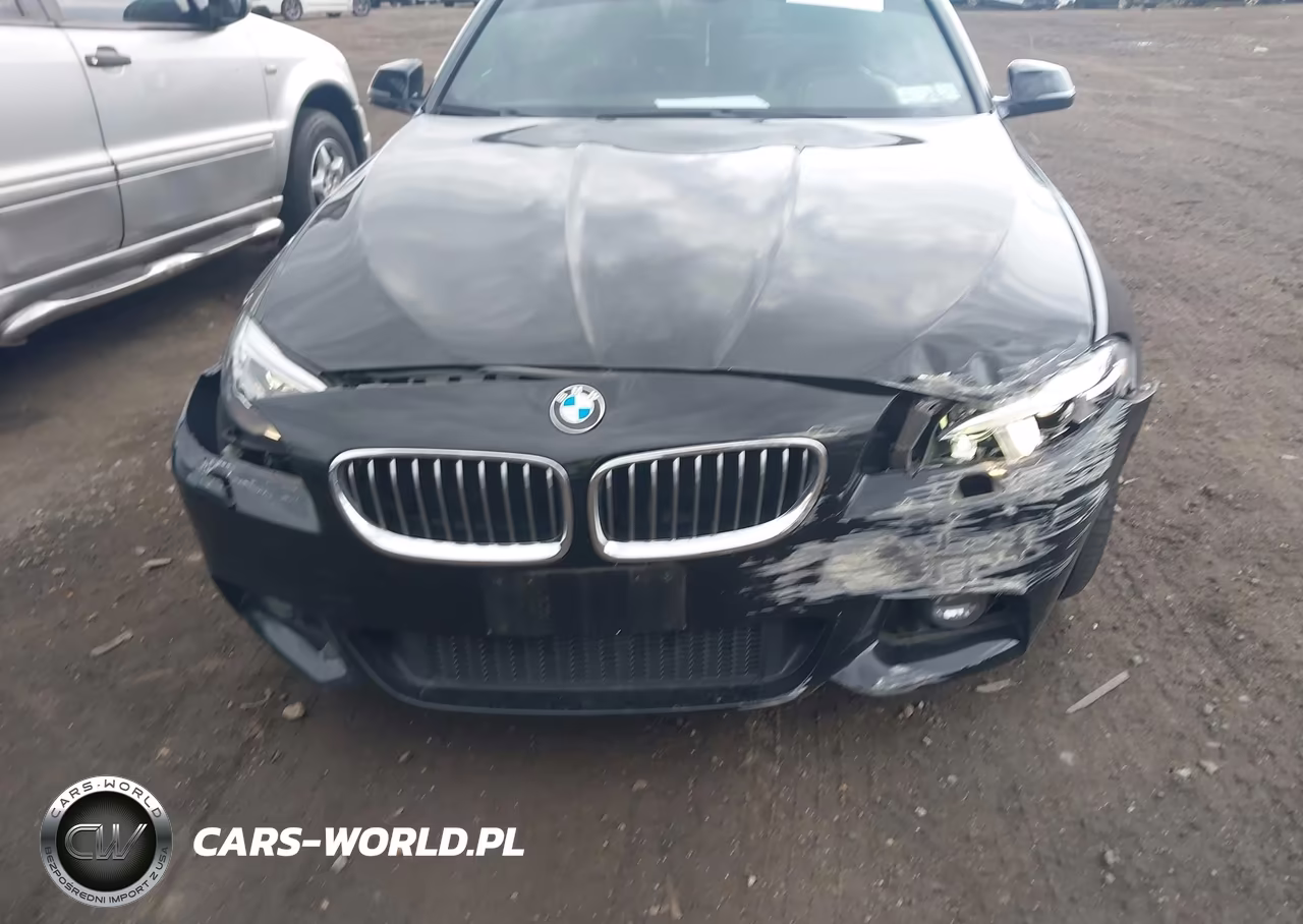 2016 BMW 528I xDrive VIN:WBA5A7C57GG148096 - 12