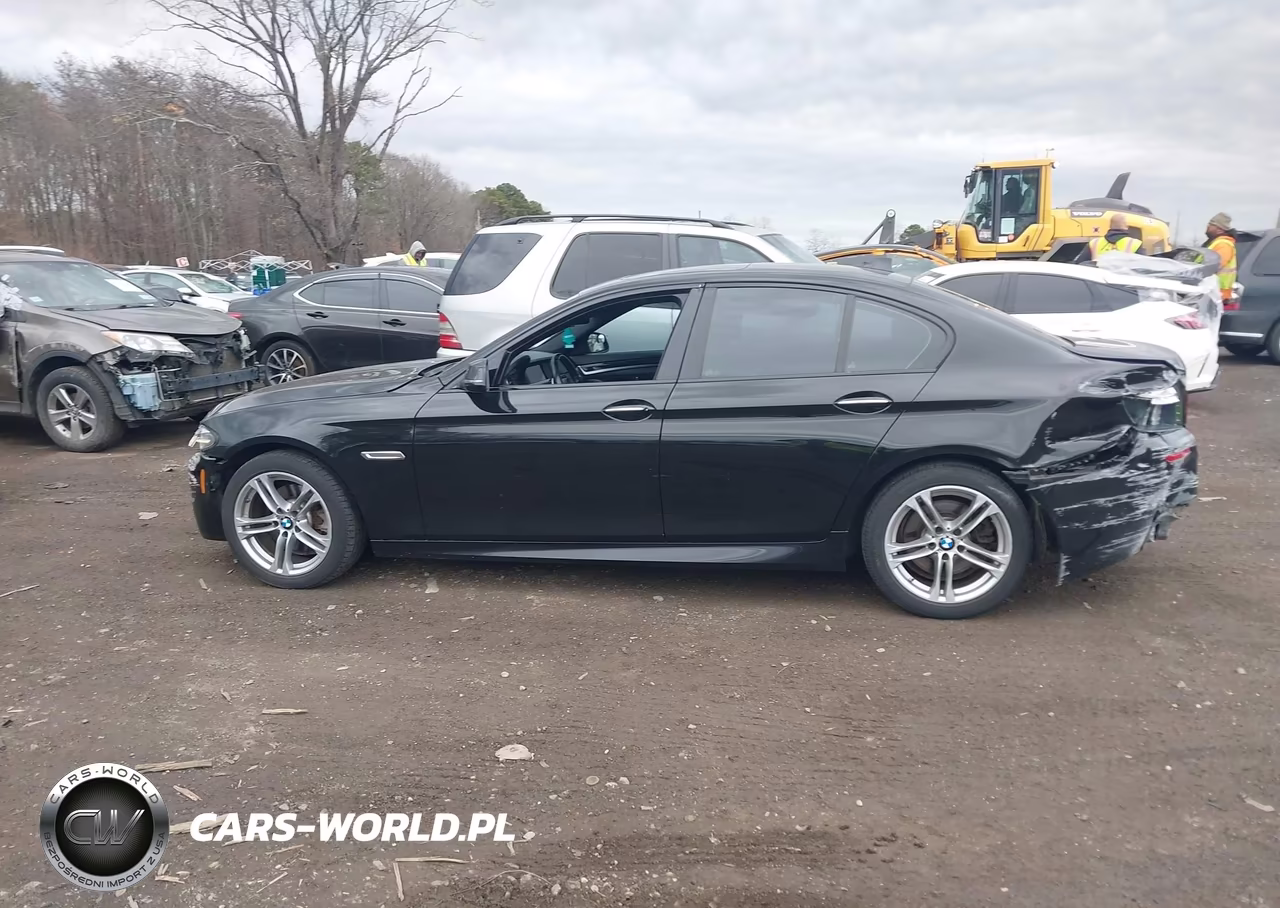2016 BMW 528I xDrive VIN:WBA5A7C57GG148096 - 14