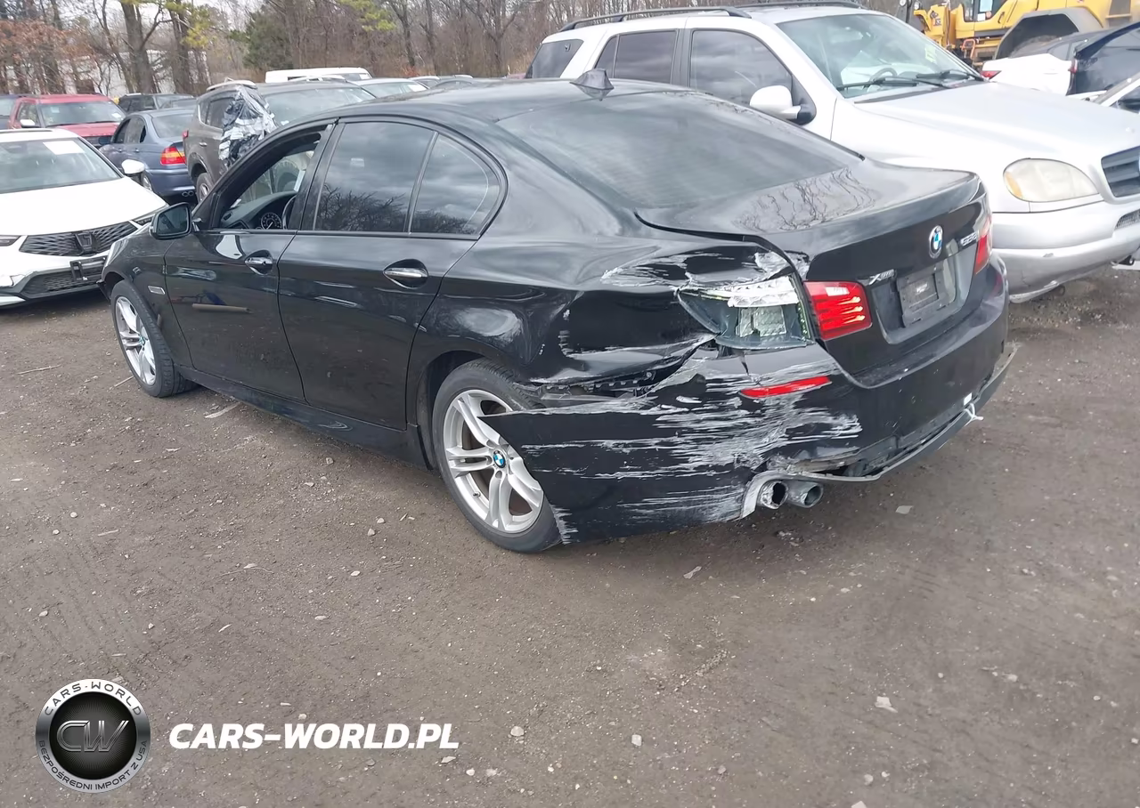 2016 BMW 528I xDrive VIN:WBA5A7C57GG148096 - 3
