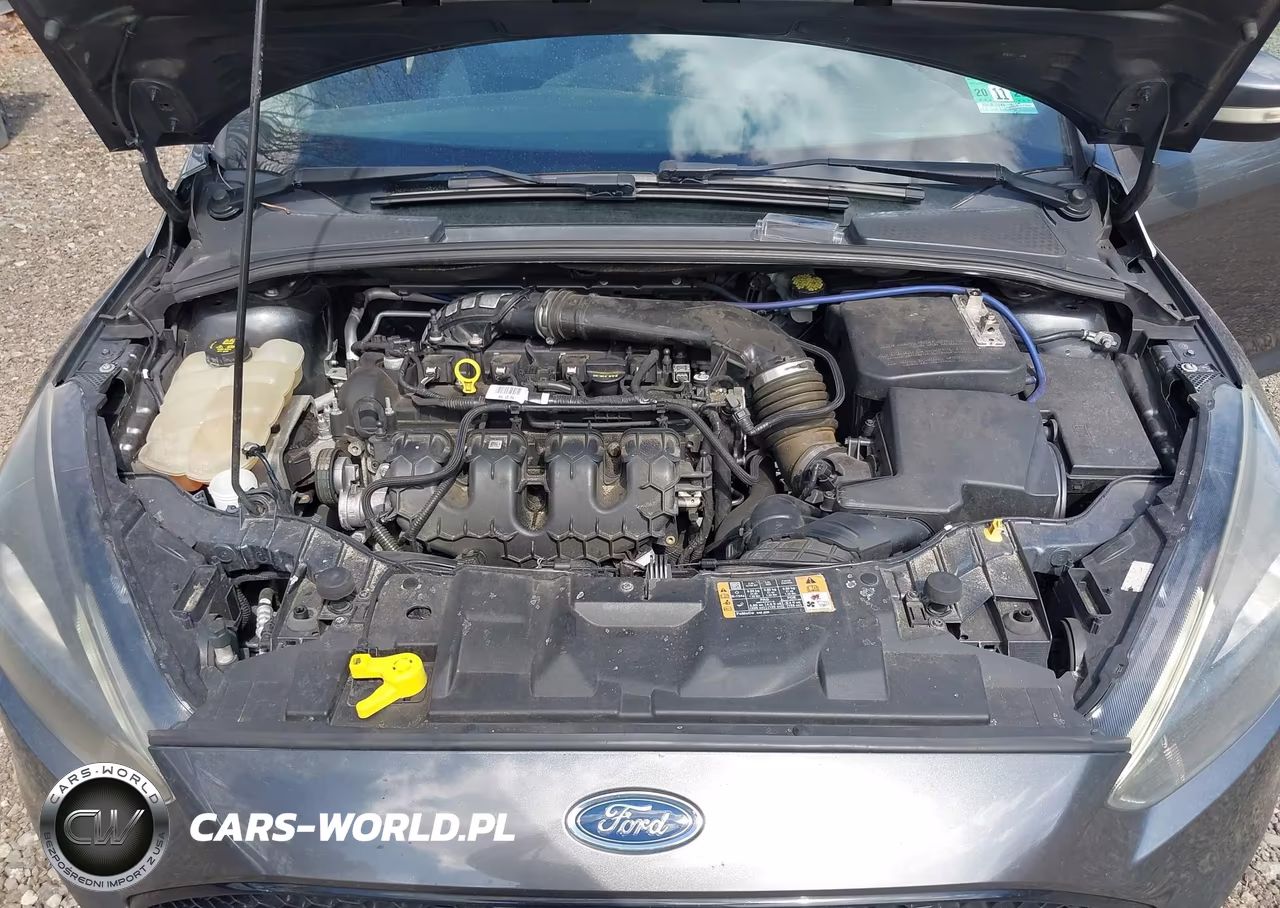 2016 Ford Focus St VIN:1FADP3L99GL347656 - 10