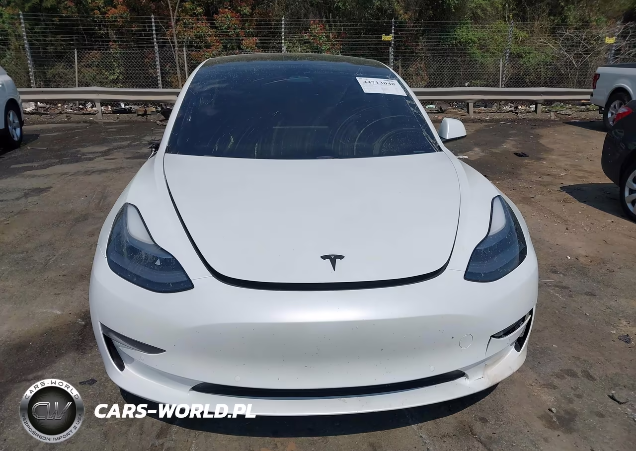 2021 Tesla Model 3 Standard Range Plus Rear-Wheel Drive VIN:5YJ3E1EA9MF062042 - 11