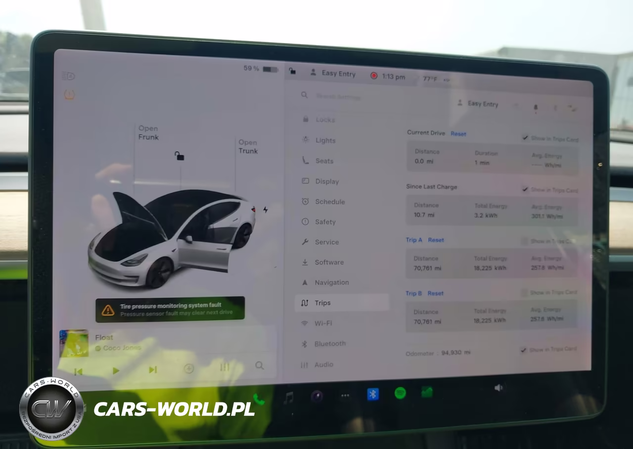 2021 Tesla Model 3 Standard Range Plus Rear-Wheel Drive VIN:5YJ3E1EA9MF062042 - 17