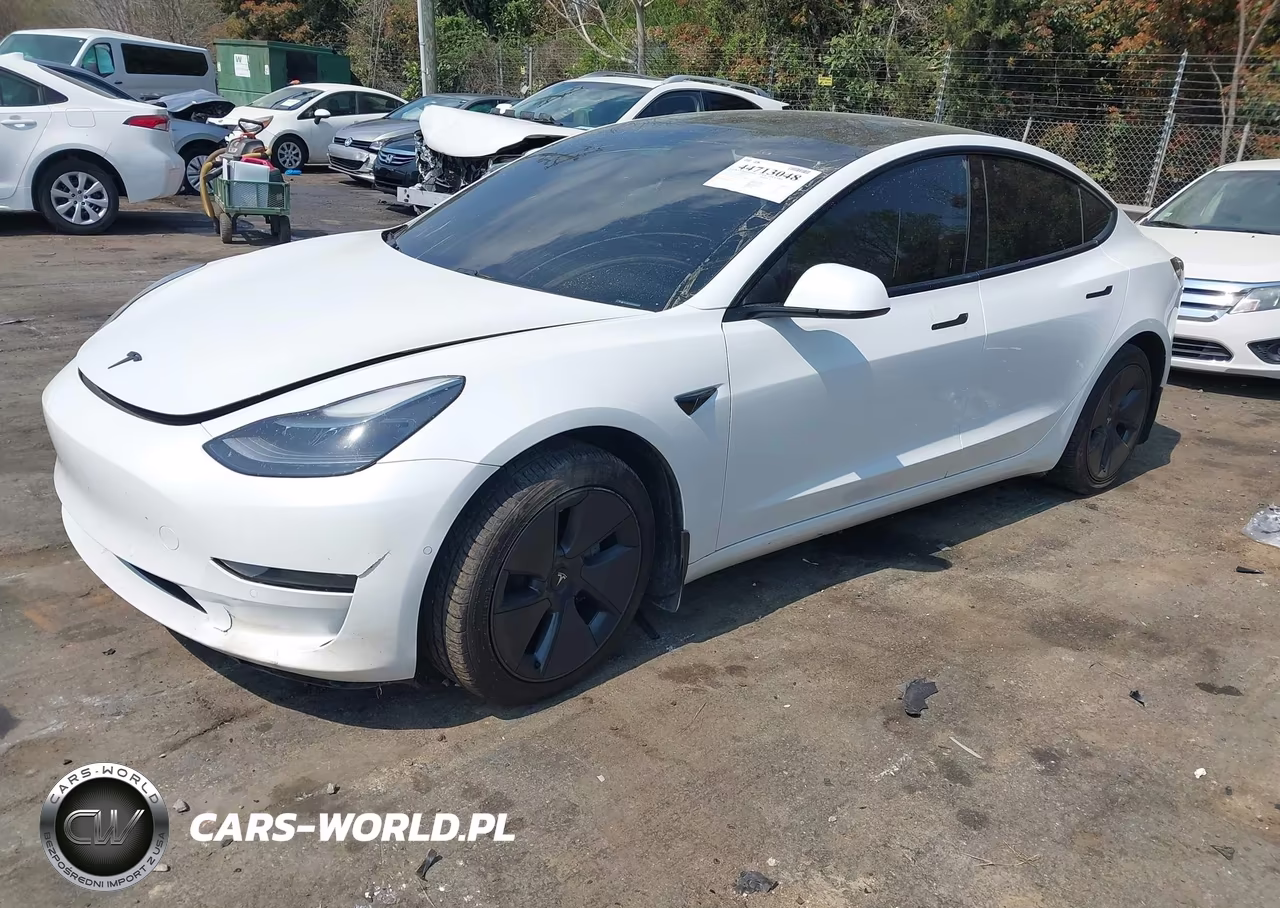 2021 Tesla Model 3 Standard Range Plus Rear-Wheel Drive VIN:5YJ3E1EA9MF062042 - 2