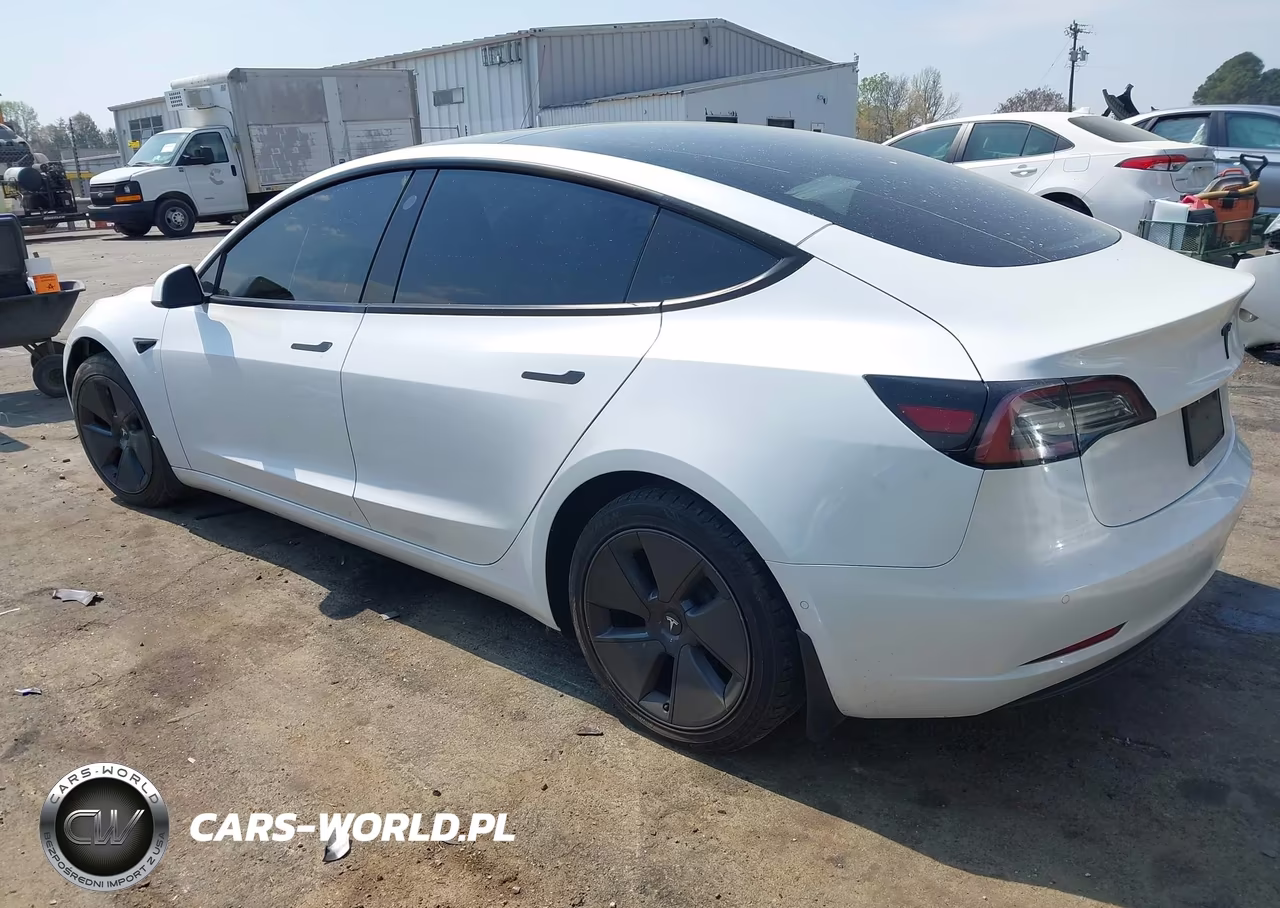 2021 Tesla Model 3 Standard Range Plus Rear-Wheel Drive VIN:5YJ3E1EA9MF062042 - 3