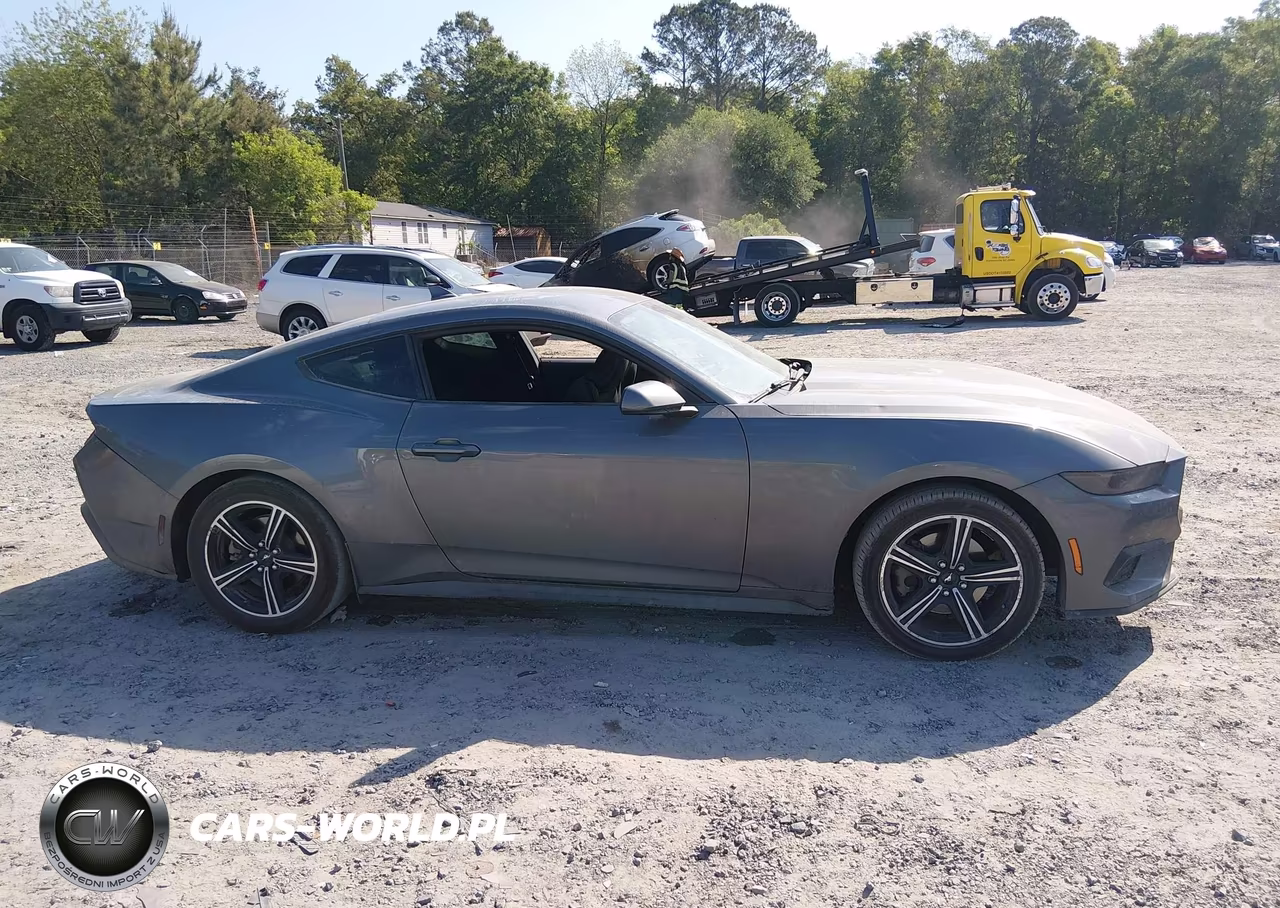 2025 Ford Mustang Ecoboost Fastback VIN:1FA6P8TH6S5131242 - 13