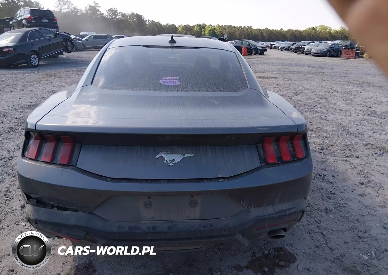 2025 Ford Mustang Ecoboost Fastback VIN:1FA6P8TH6S5131242 - 16