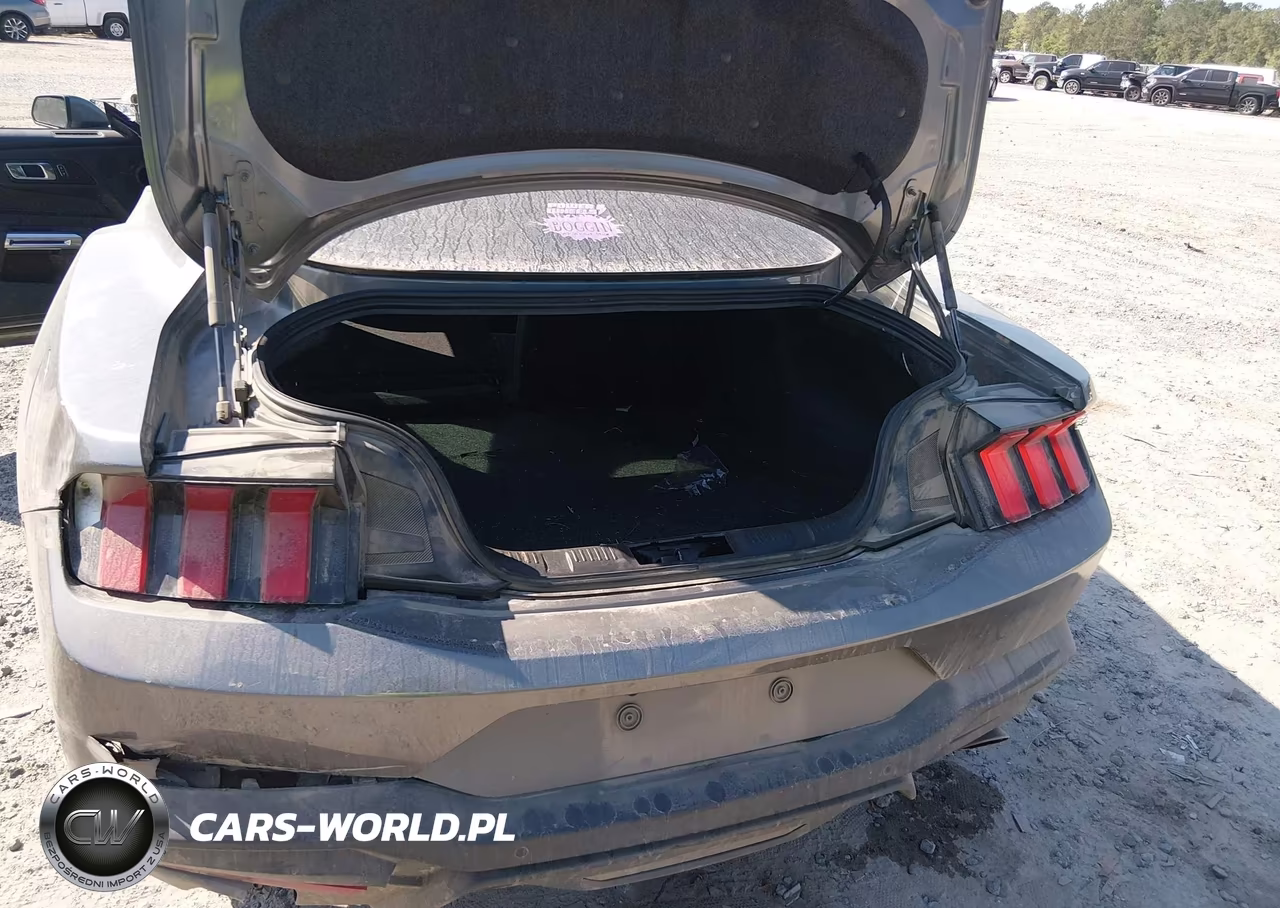 2025 Ford Mustang Ecoboost Fastback VIN:1FA6P8TH6S5131242 - 17