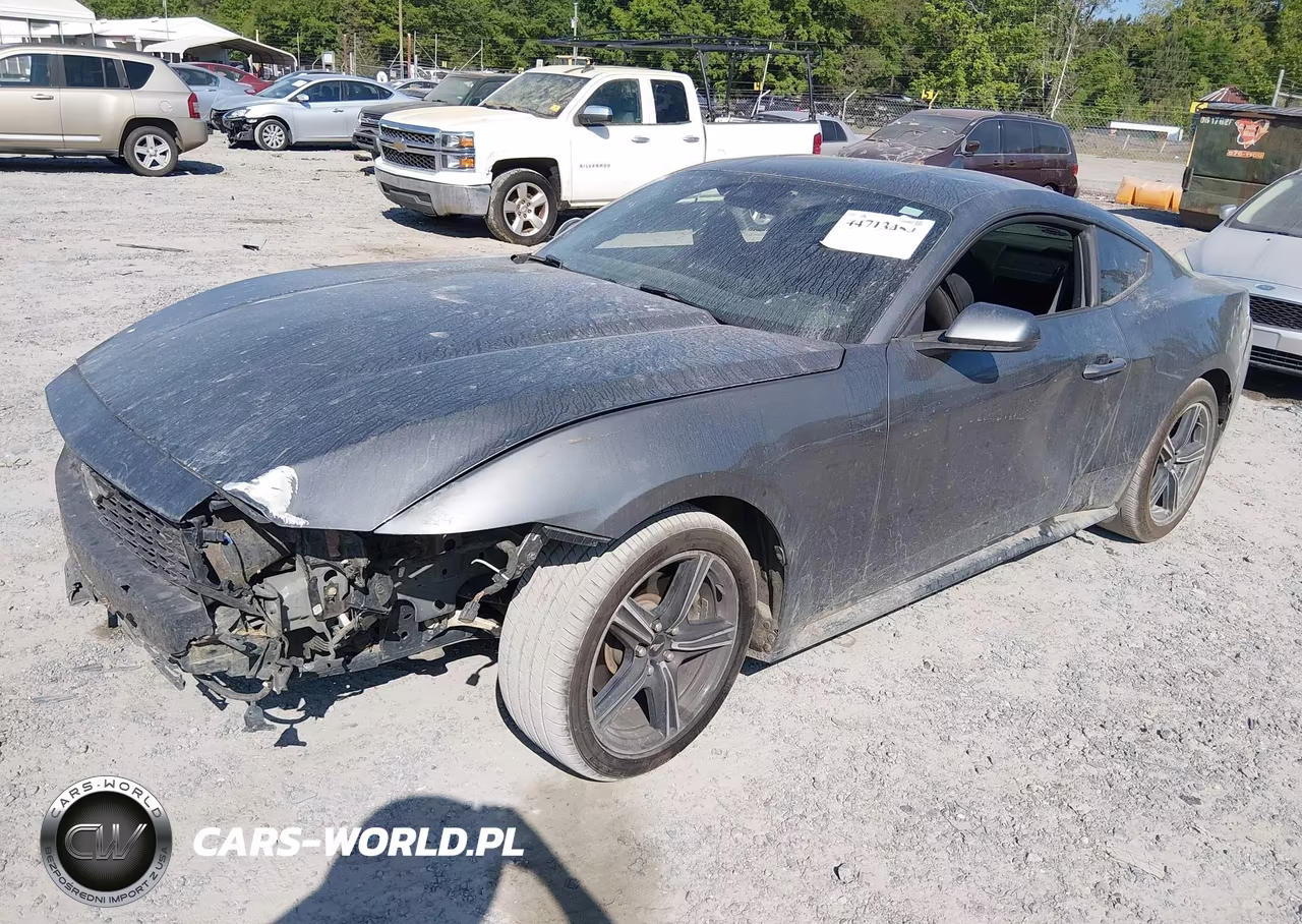 2025 Ford Mustang Ecoboost Fastback VIN:1FA6P8TH6S5131242 - 2