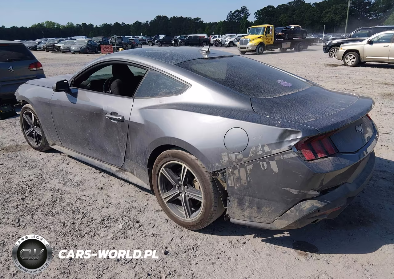 2025 Ford Mustang Ecoboost Fastback VIN:1FA6P8TH6S5131242 - 3