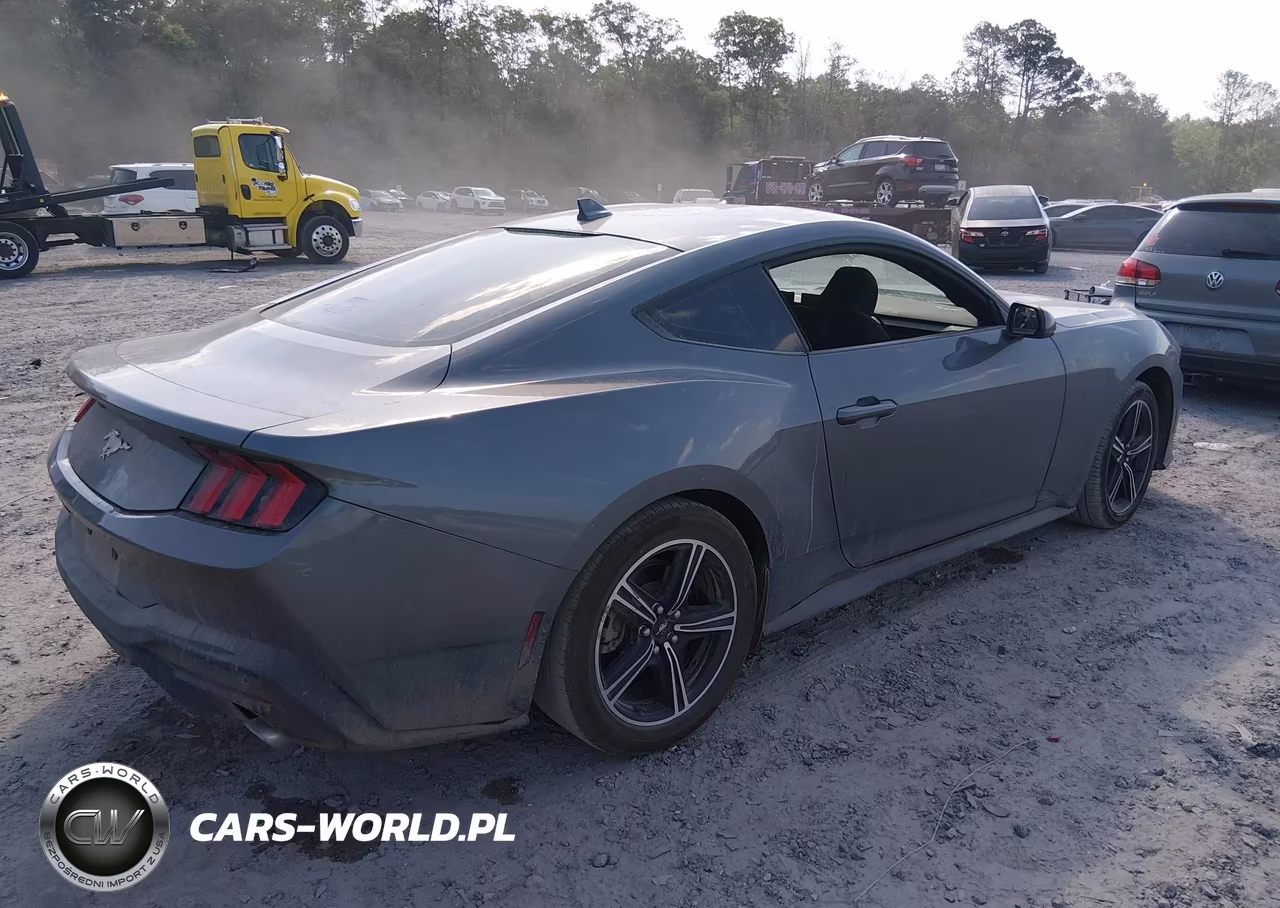 2025 Ford Mustang Ecoboost Fastback VIN:1FA6P8TH6S5131242 - 4