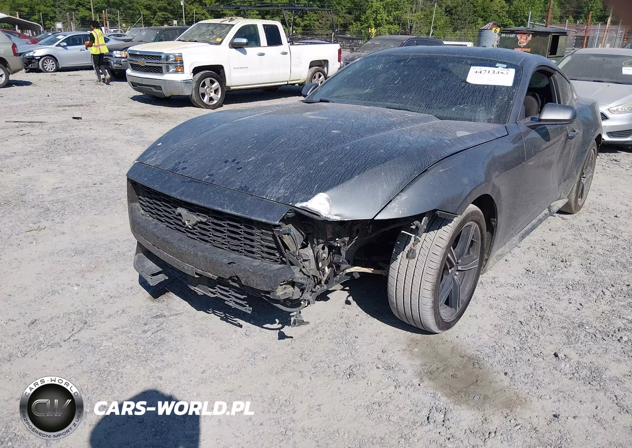 2025 Ford Mustang Ecoboost Fastback VIN:1FA6P8TH6S5131242 - 6