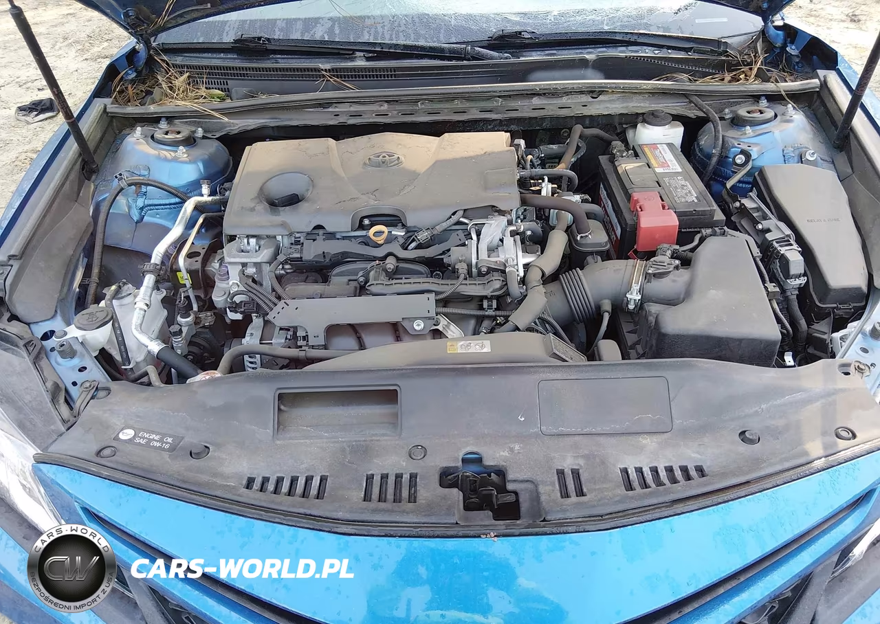 2019 Toyota Camry Se VIN:4T1B11HKXKU266361 - 10