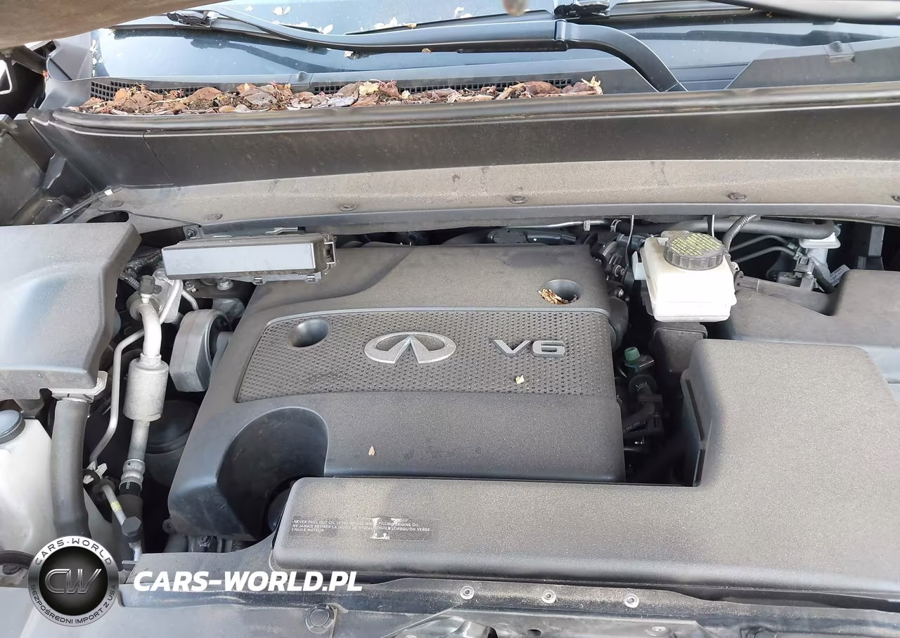 2015 Infiniti Qx60 VIN:5N1AL0MN3FC516342 - 10