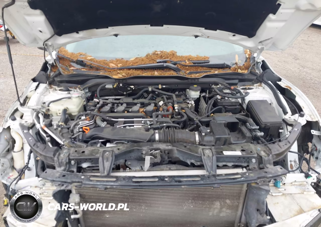 2021 Honda Civic Ex VIN:19XFC1F39ME012007 - 10
