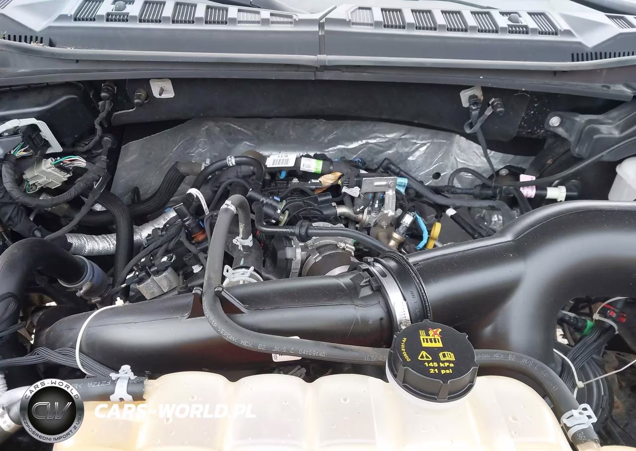 2019 Ford F-150 Xlt VIN:1FTEW1EP4KFA40520 - 10