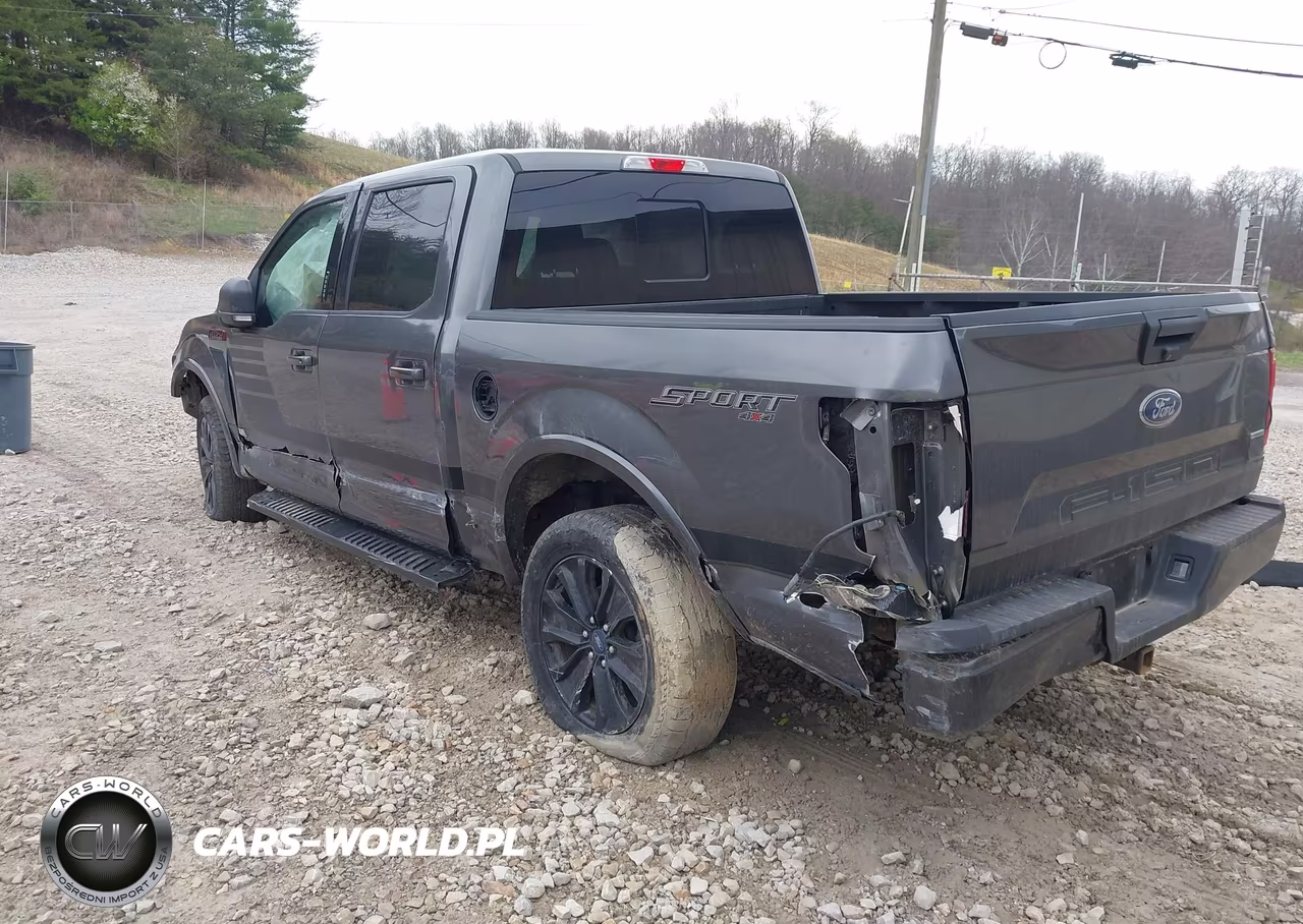 2019 Ford F-150 Xlt VIN:1FTEW1EP4KFA40520 - 3