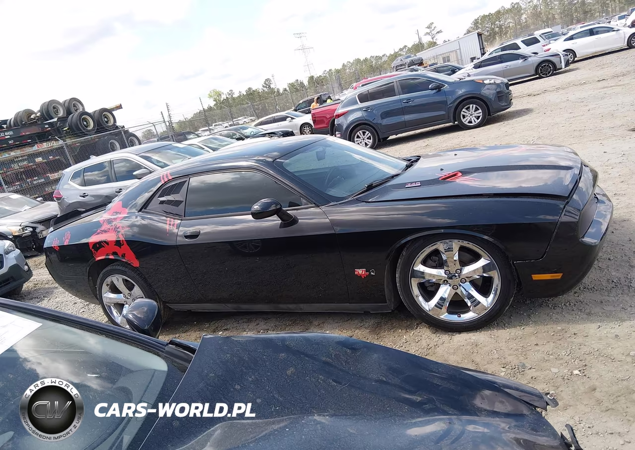 2013 Dodge Challenger R-T Plus VIN:2C3CDYBT5DH524886 - 14