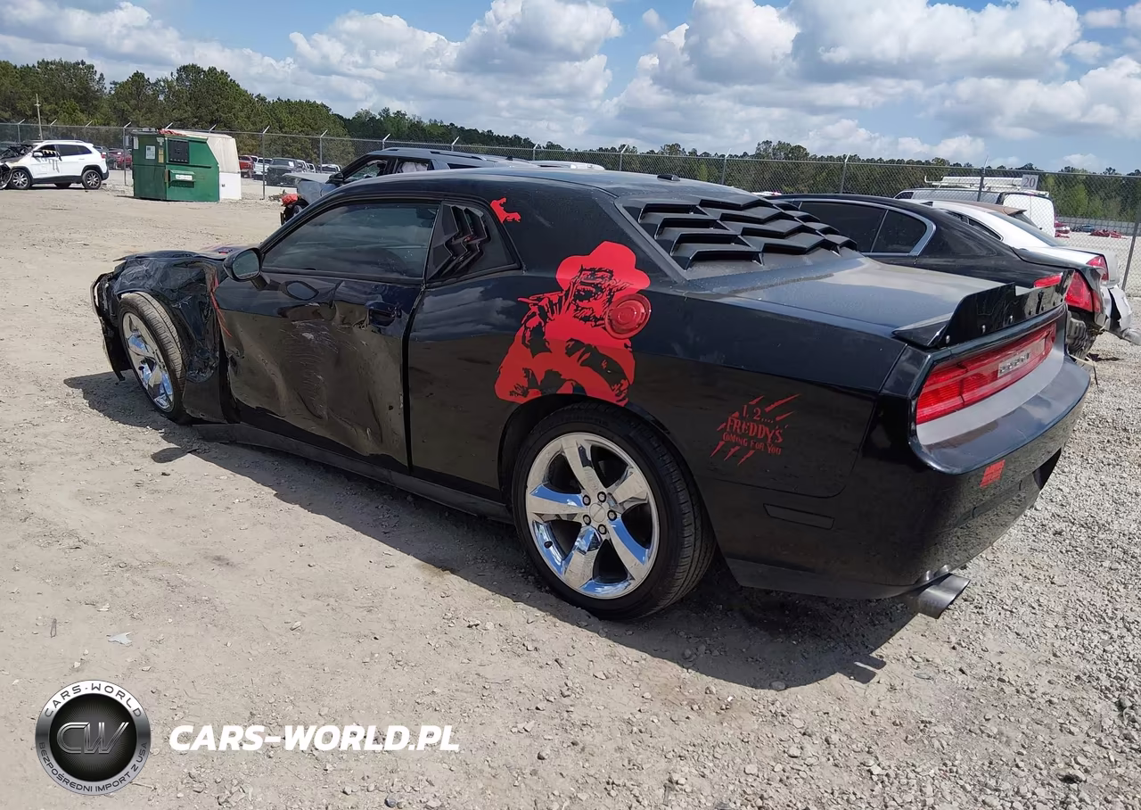 2013 Dodge Challenger R-T Plus VIN:2C3CDYBT5DH524886 - 3