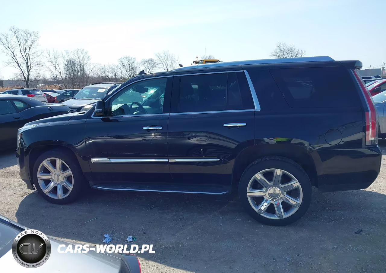 2016 Cadillac Escalade Luxury Collection VIN:1GYS4BKJ5GR230633 - 14