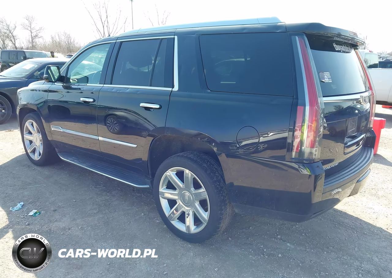 2016 Cadillac Escalade Luxury Collection VIN:1GYS4BKJ5GR230633 - 3