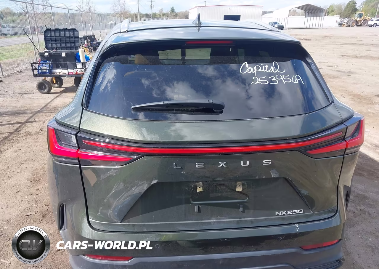 2024 Lexus Nx 250 Premium VIN:2T2GDCAZ6RC015070 - 17