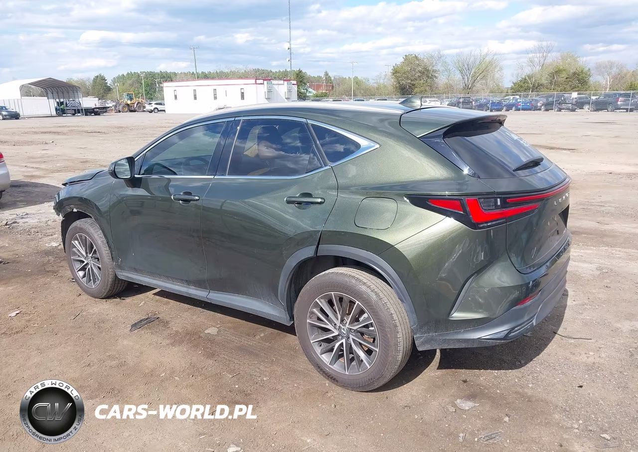 2024 Lexus Nx 250 Premium VIN:2T2GDCAZ6RC015070 - 3