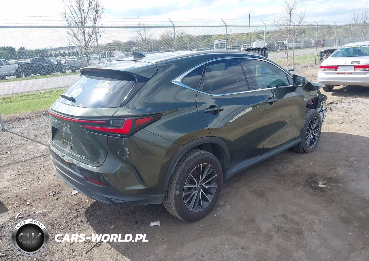 2024 Lexus Nx 250 Premium VIN:2T2GDCAZ6RC015070 - 4