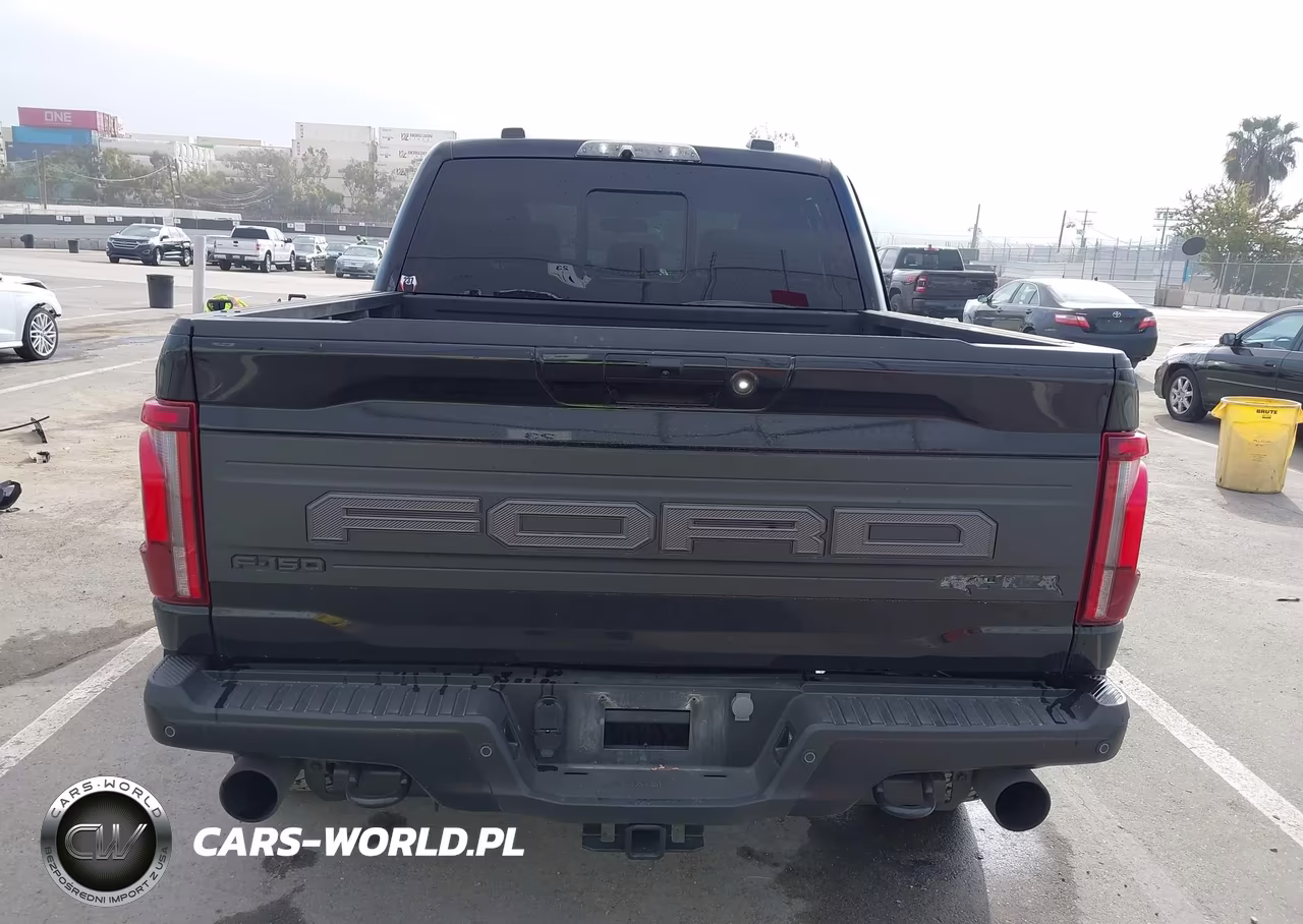 2024 Ford F-150 Raptor VIN:1FTFW1RG6RFA31696 - 17