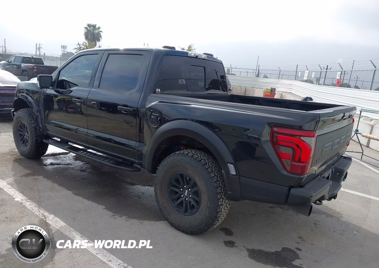 2024 Ford F-150 Raptor VIN:1FTFW1RG6RFA31696 - 3