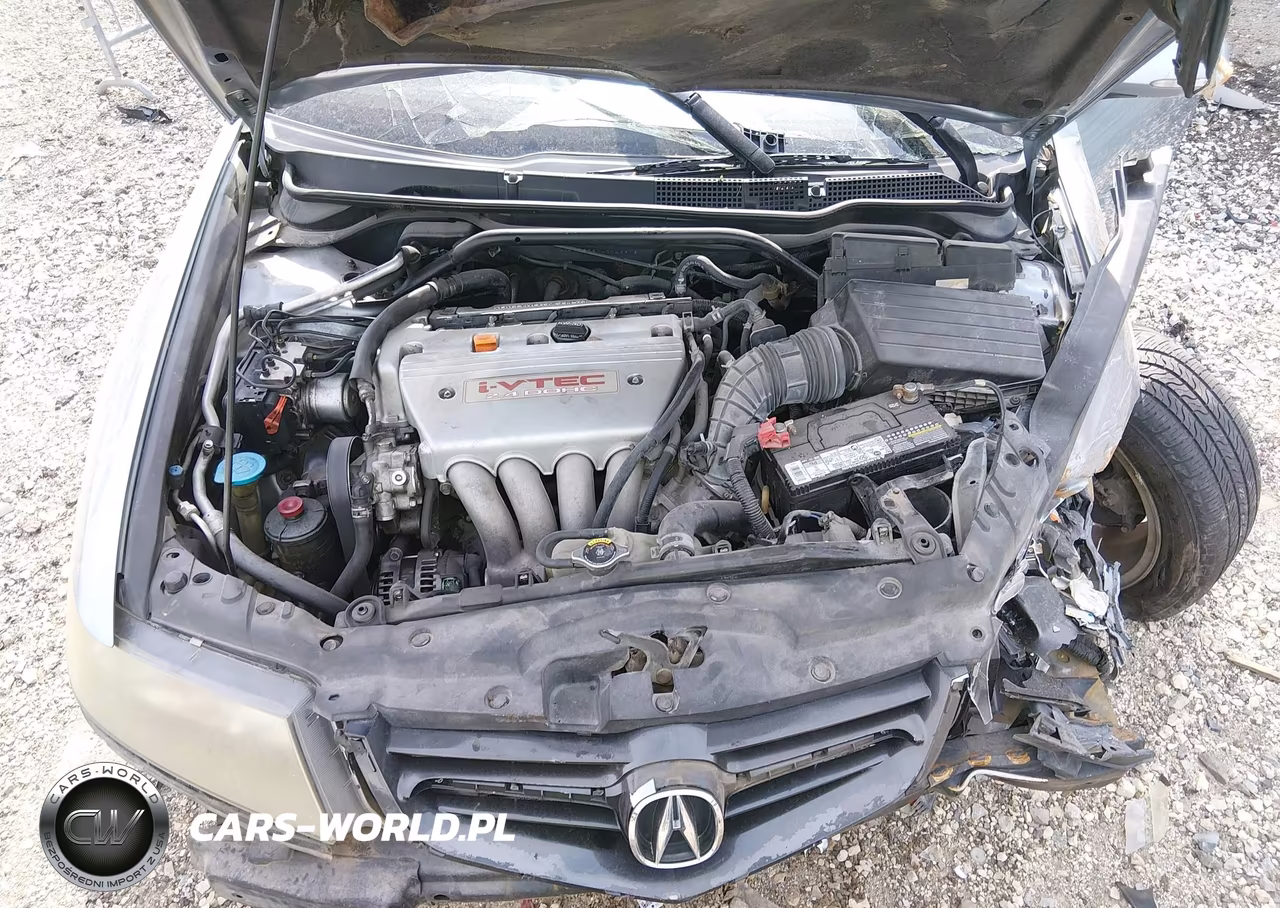 2004 Acura Tsx VIN:JH4CL968X4C043916 - 10