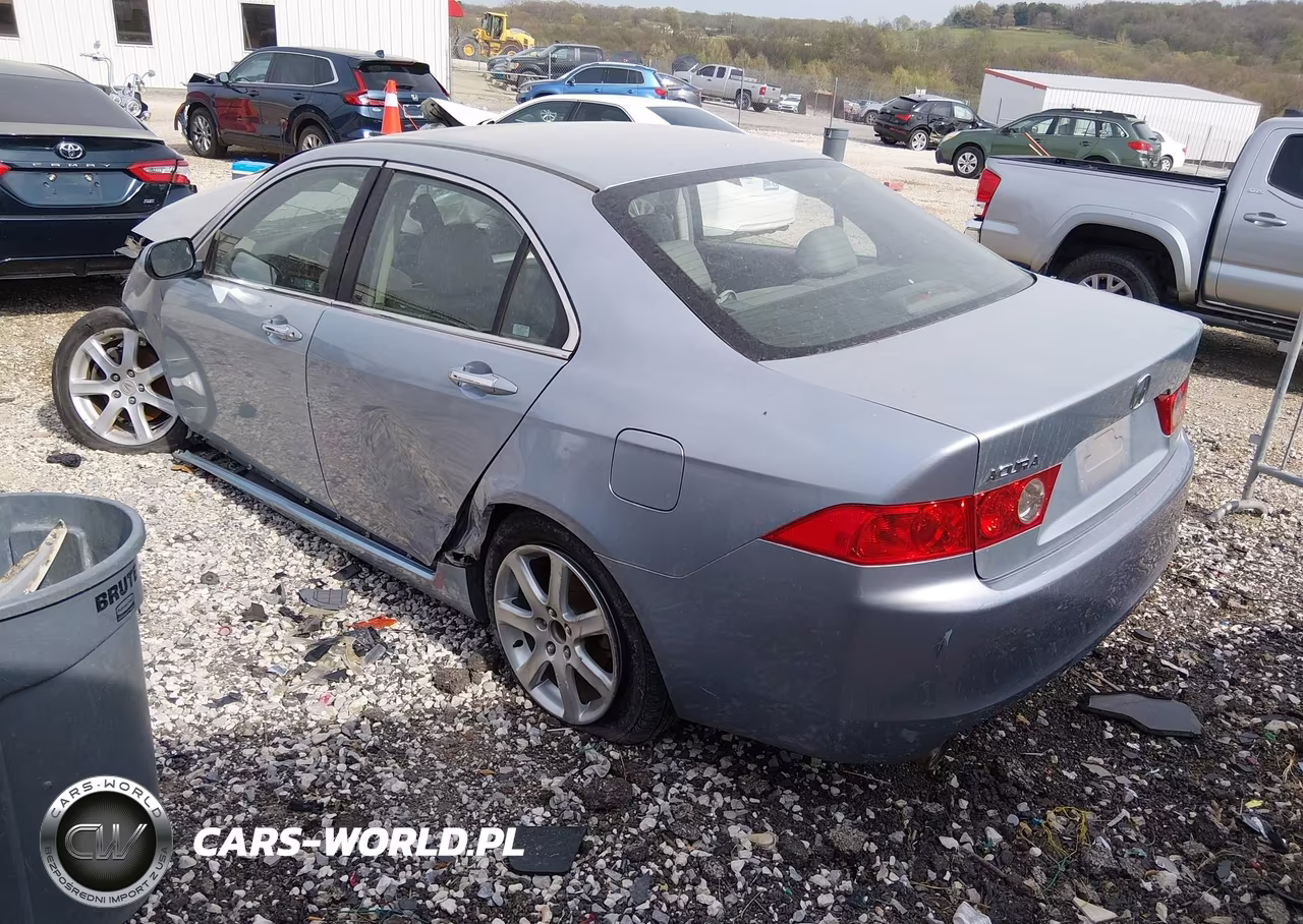 2004 Acura Tsx VIN:JH4CL968X4C043916 - 3