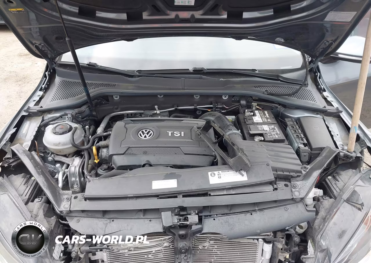 2018 Volkswagen Golf Tsi S-Tsi Se VIN:3VWG17AU0JM262389 - 10