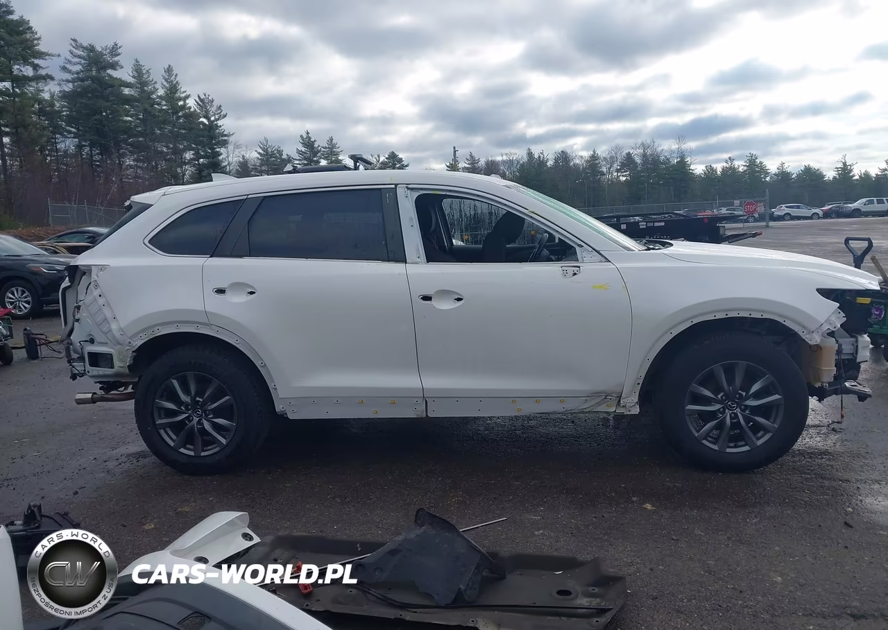 2020 Mazda Cx-9 Sport VIN:JM3TCBBY5L0408623 - 14