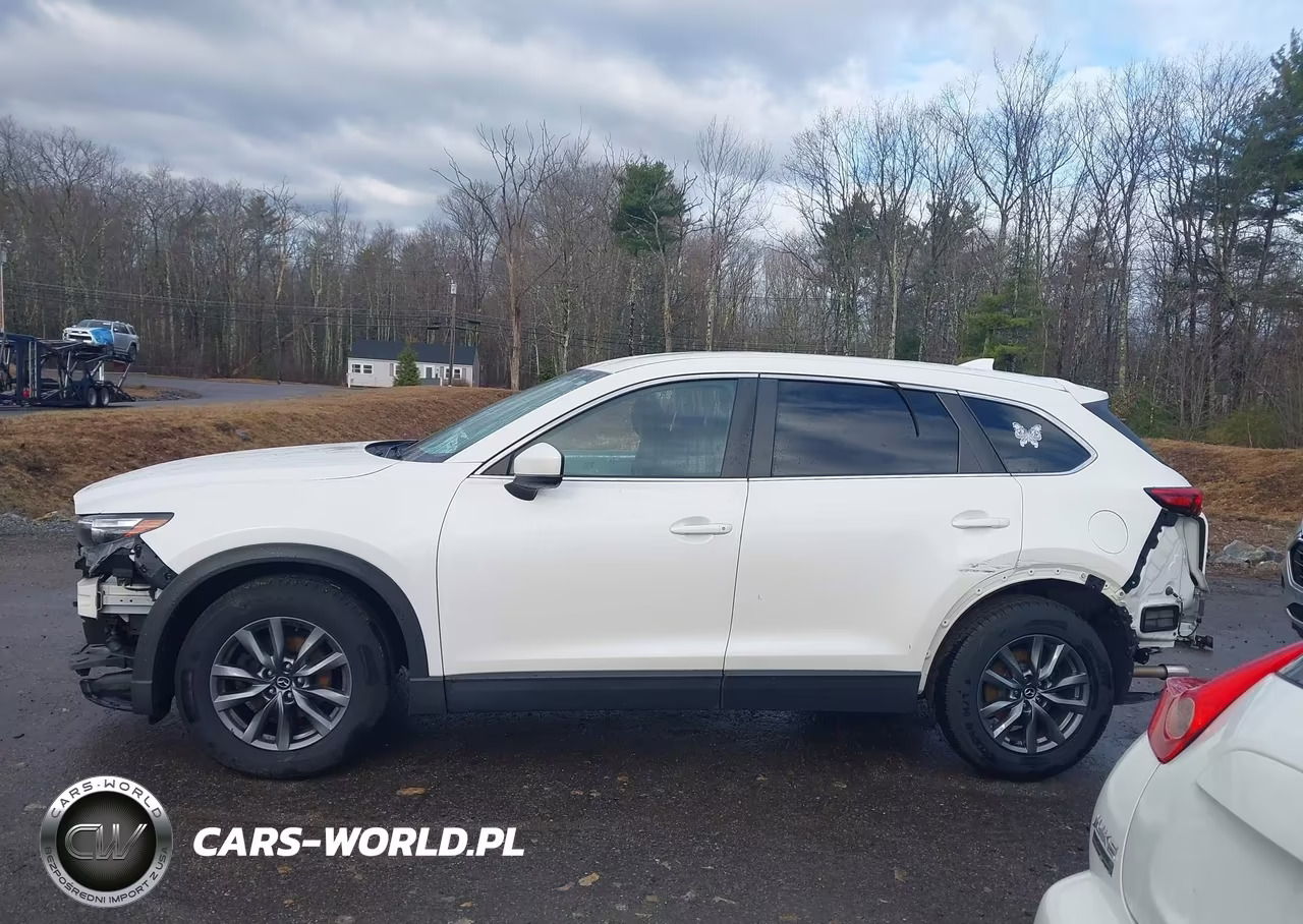 2020 Mazda Cx-9 Sport VIN:JM3TCBBY5L0408623 - 15
